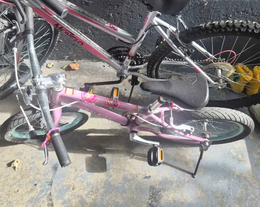 Pink Raleigh Kids Bike