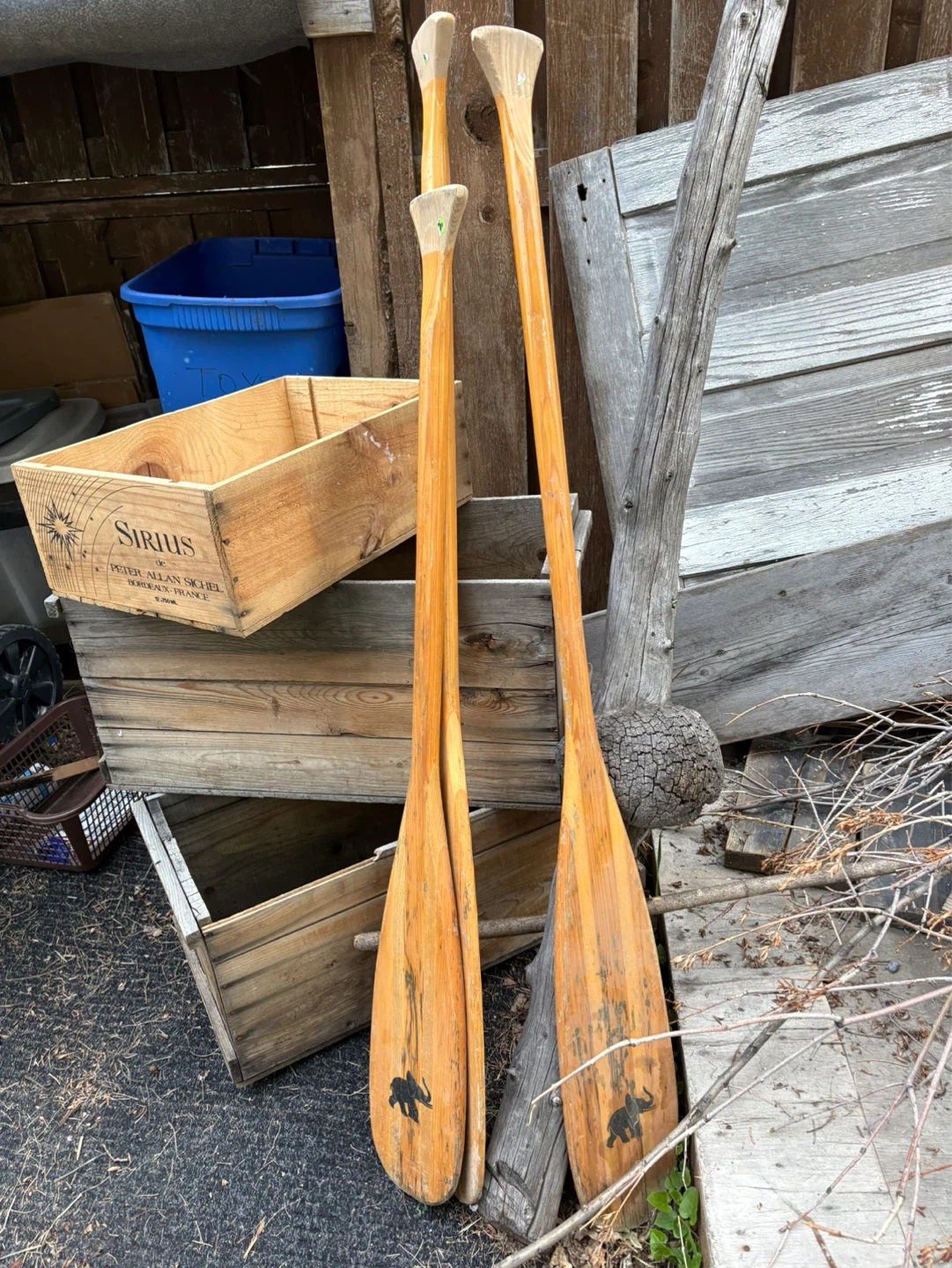 Wooden Oars with Elephant Decal