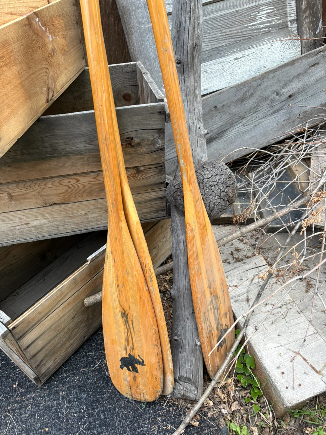 Wooden Oars with Elephant Decal - photo 2