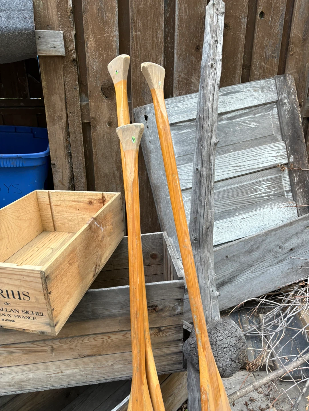 Wooden Oars with Elephant Decal - photo 3