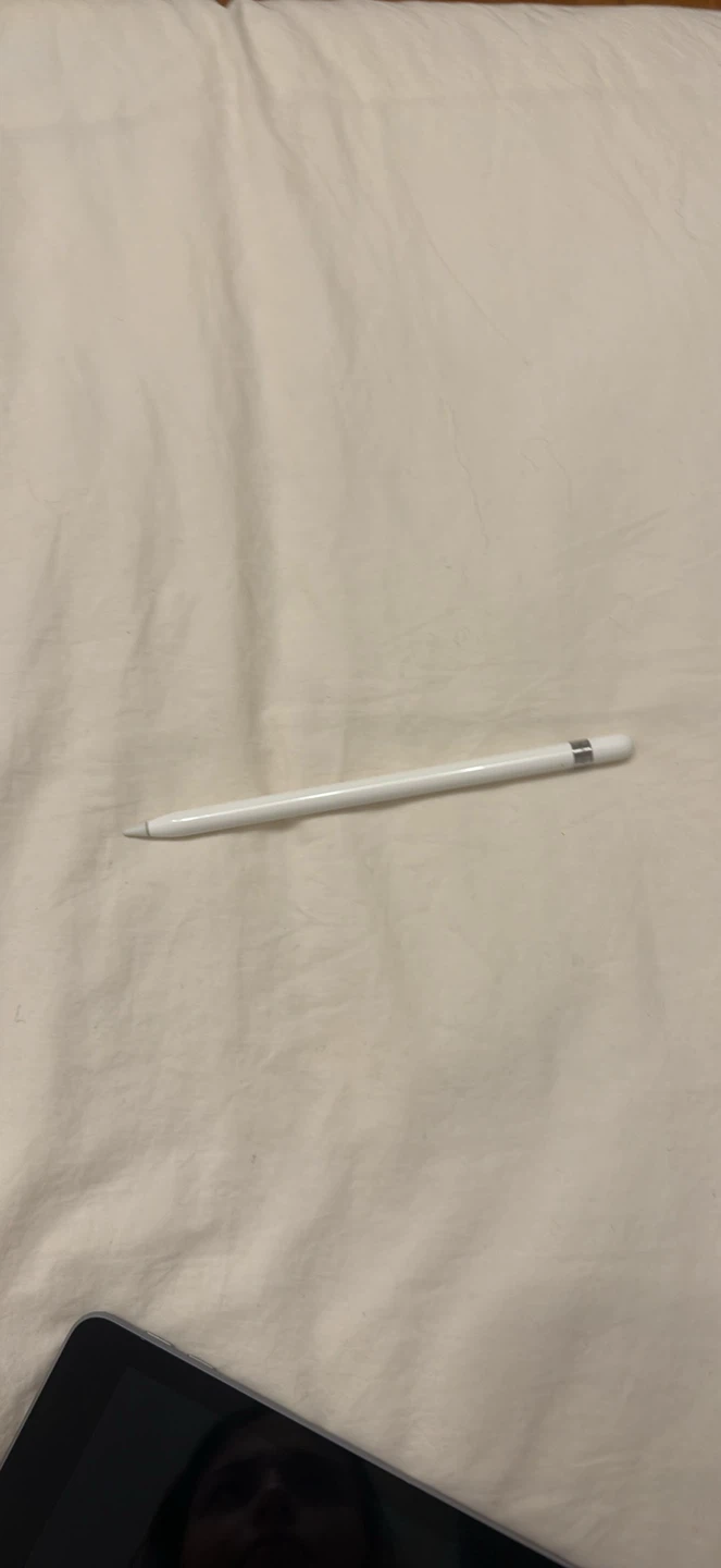 iPad Gen 6 and Apple Pencil - photo 4