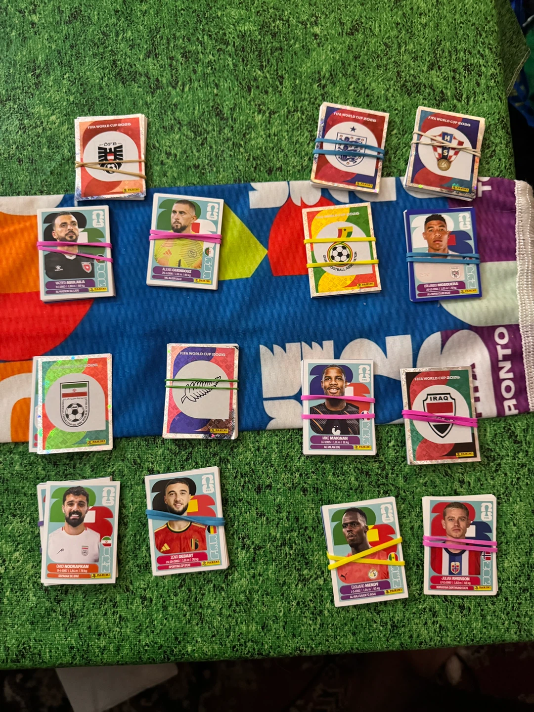 Panini FIFA World Cup 2022 Stickers - photo 5
