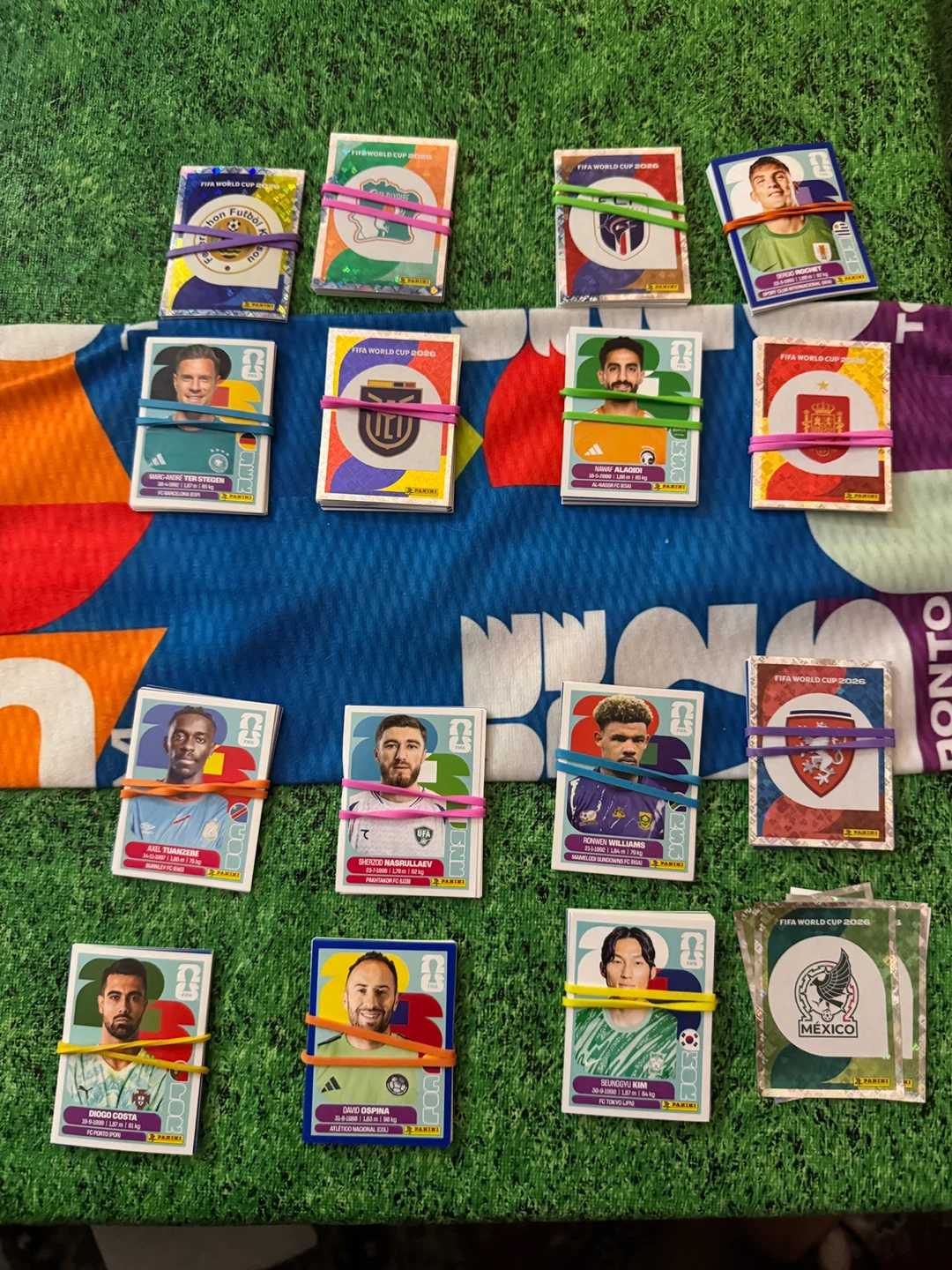 Panini FIFA World Cup 2022 Stickers - photo 3