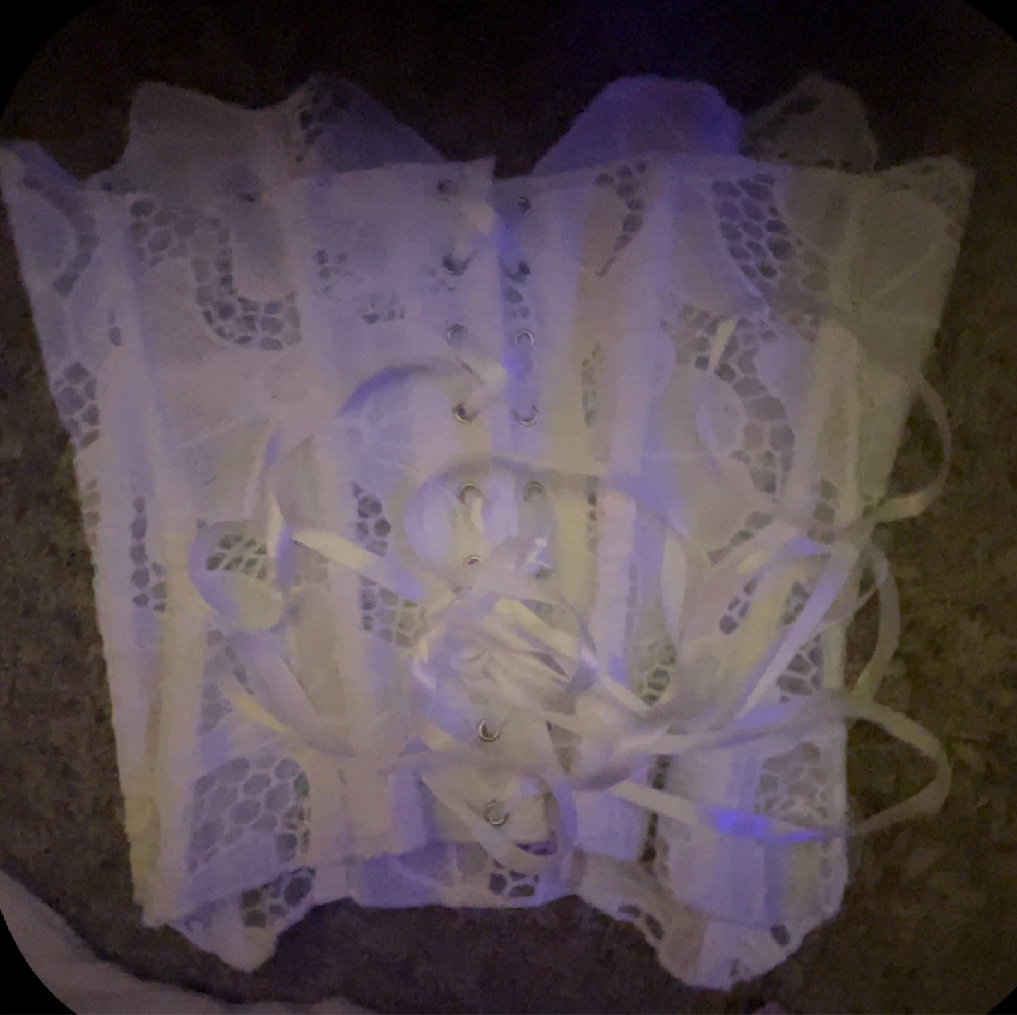 White Lace Corset