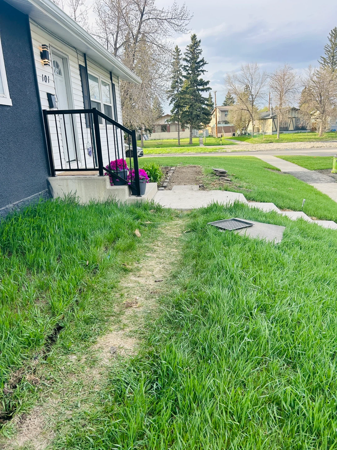 Yard work - photo 2