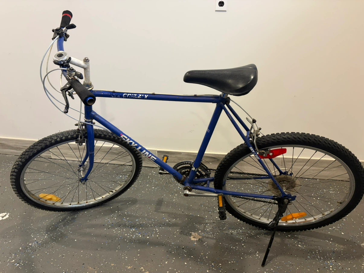 24” Blue Skyline Grizzly Mountain Bike