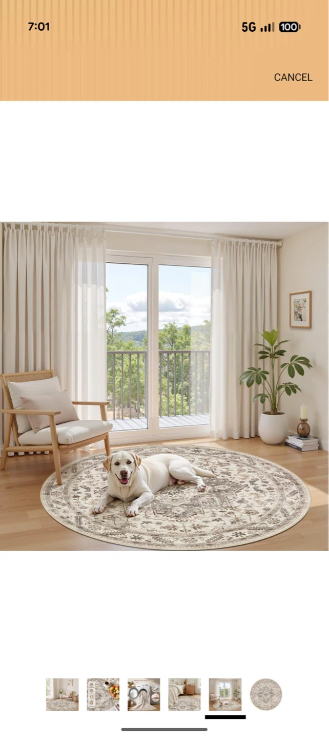Round Area Rug - Light Brown - photo 3