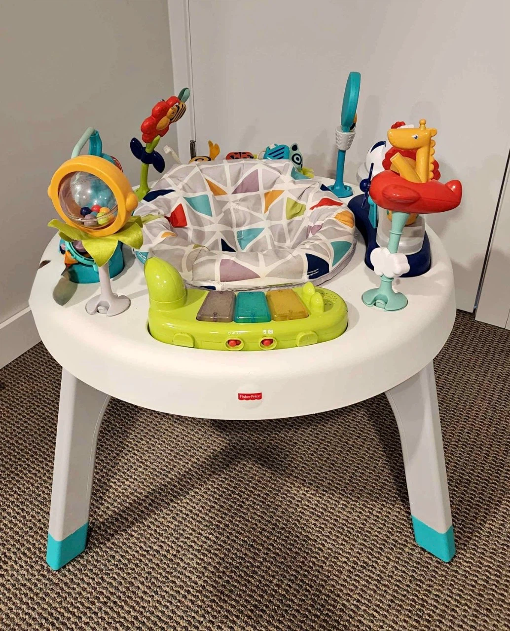 Fisher-Price Jumperoo Activity Center