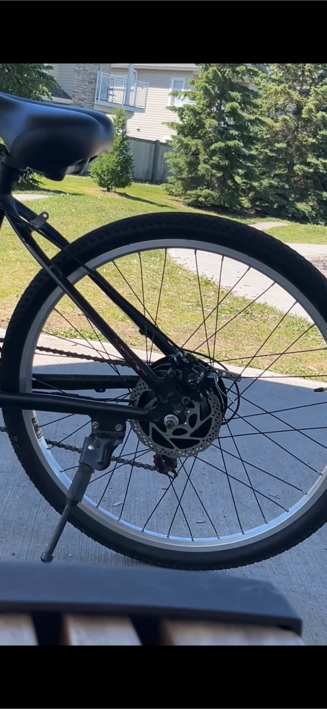 E-bike 350w - photo 5