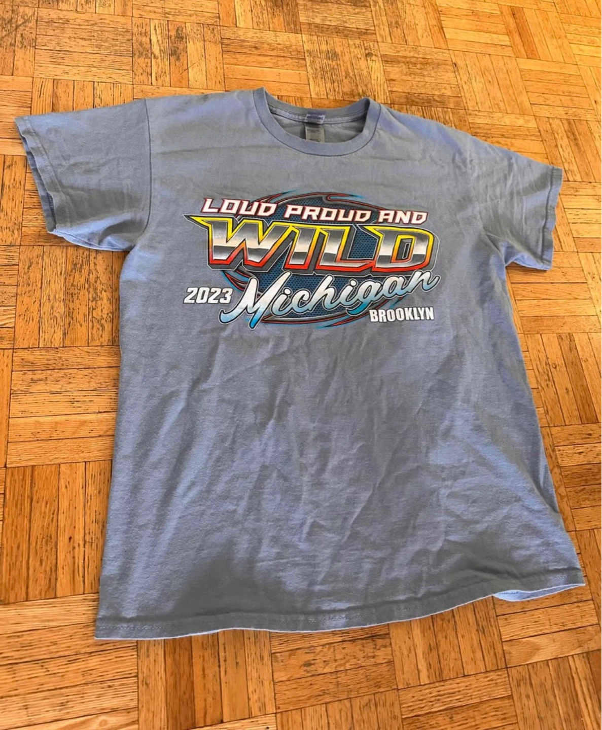Loud Proud and Wild Michigan 2023 T-Shirt