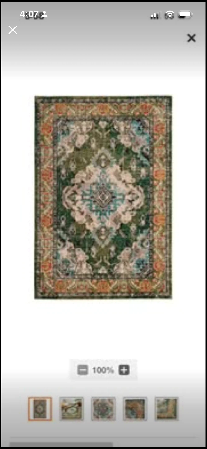 New Area Rug - Oriental Pattern 8’x10’