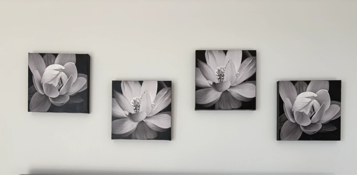 Set of 4 Black and White Floral Canvas Art Prints
