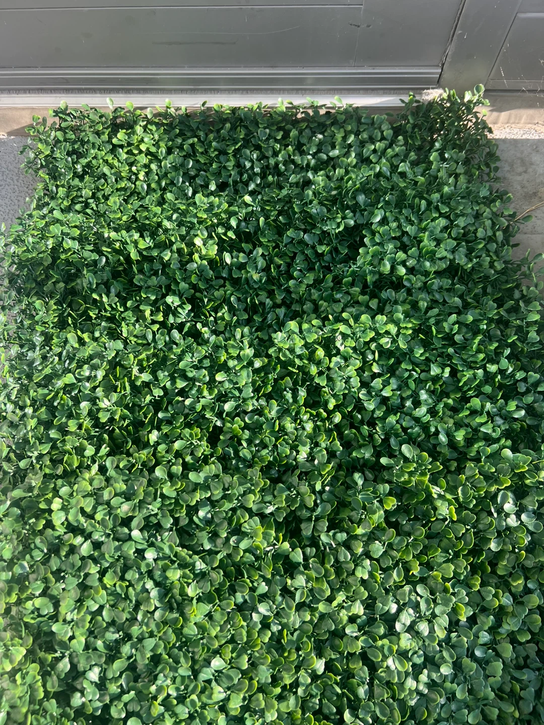 4 Artificial Green Hedge Wall Panel - photo 3