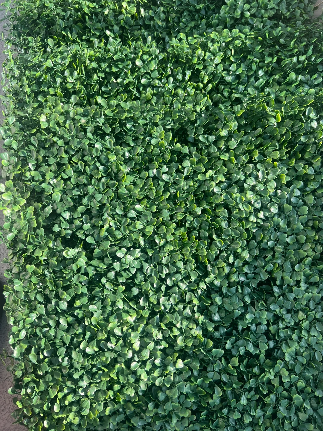 4 Artificial Green Hedge Wall Panel - photo 2