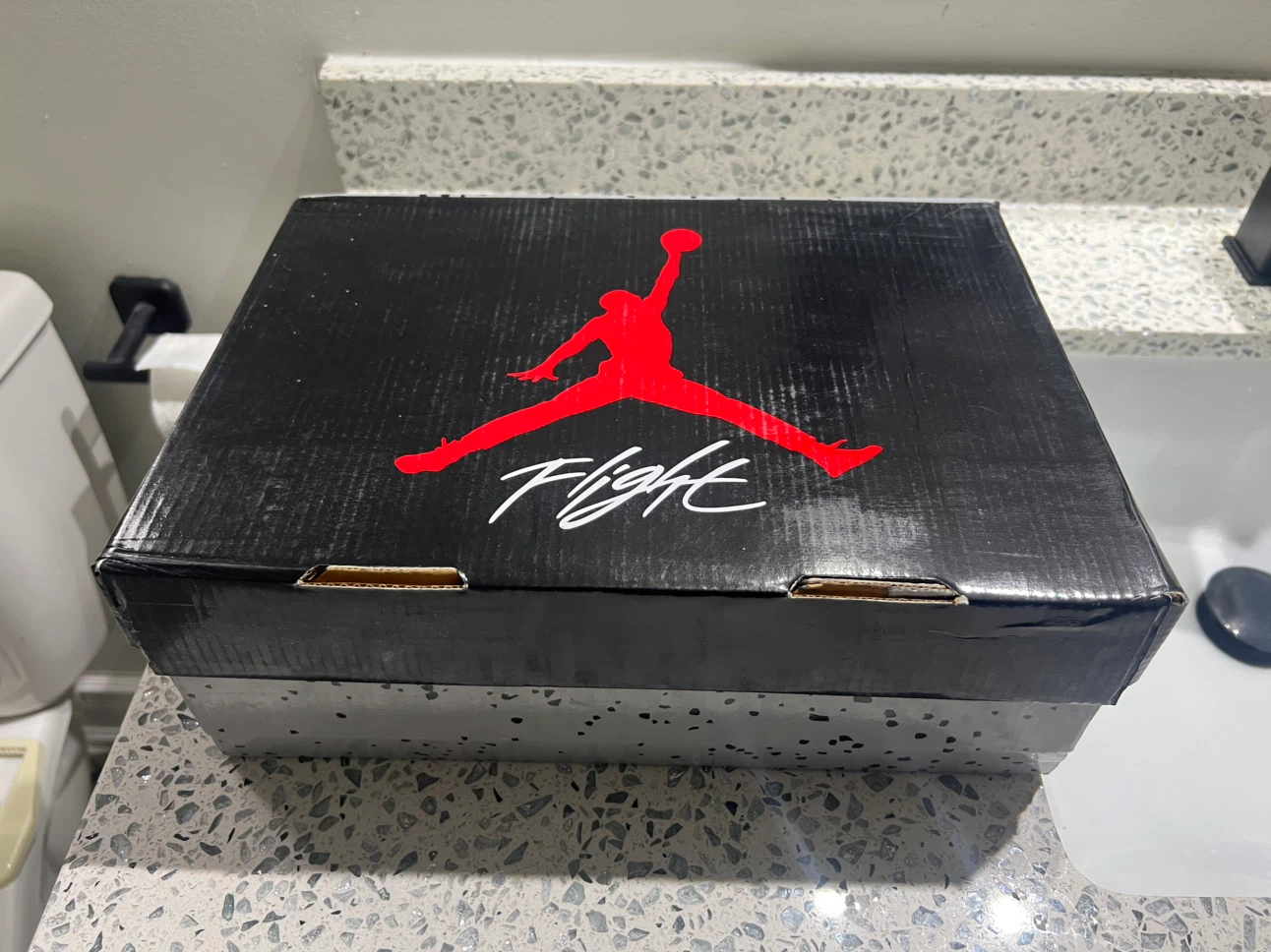 Jordan 1 Flight Sneakers