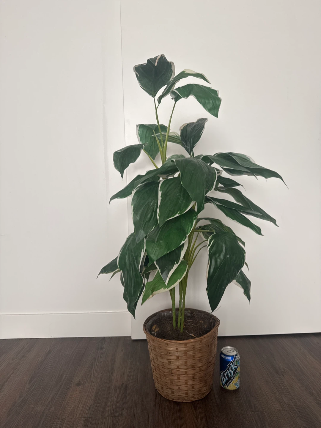 Large Artificial Plant in Wicker Basket