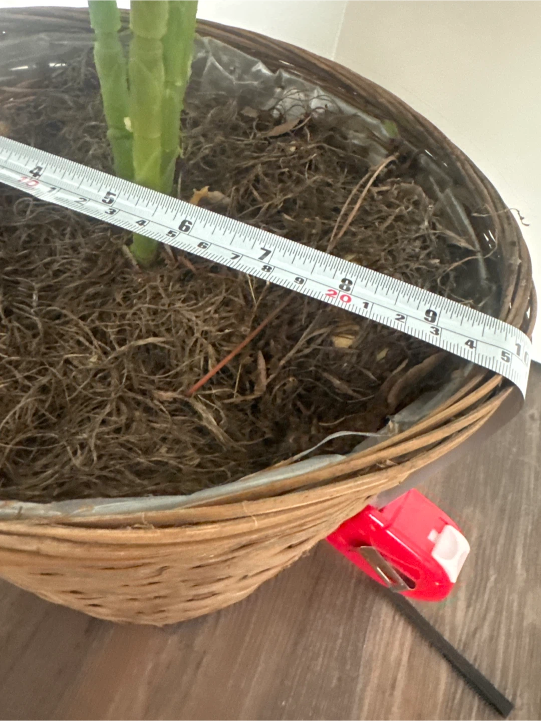 Large Artificial Plant in Wicker Basket - photo 5