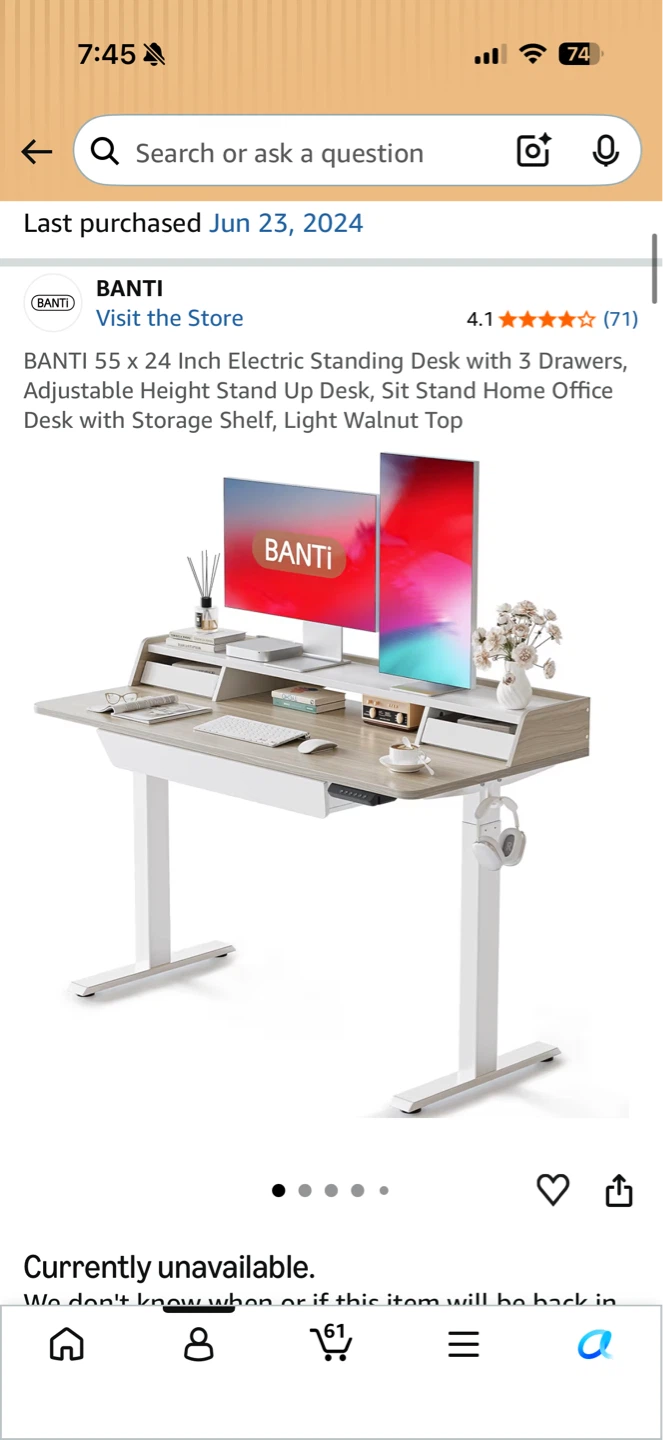 Banti 55 x 24 Inch Electric Standing Desk