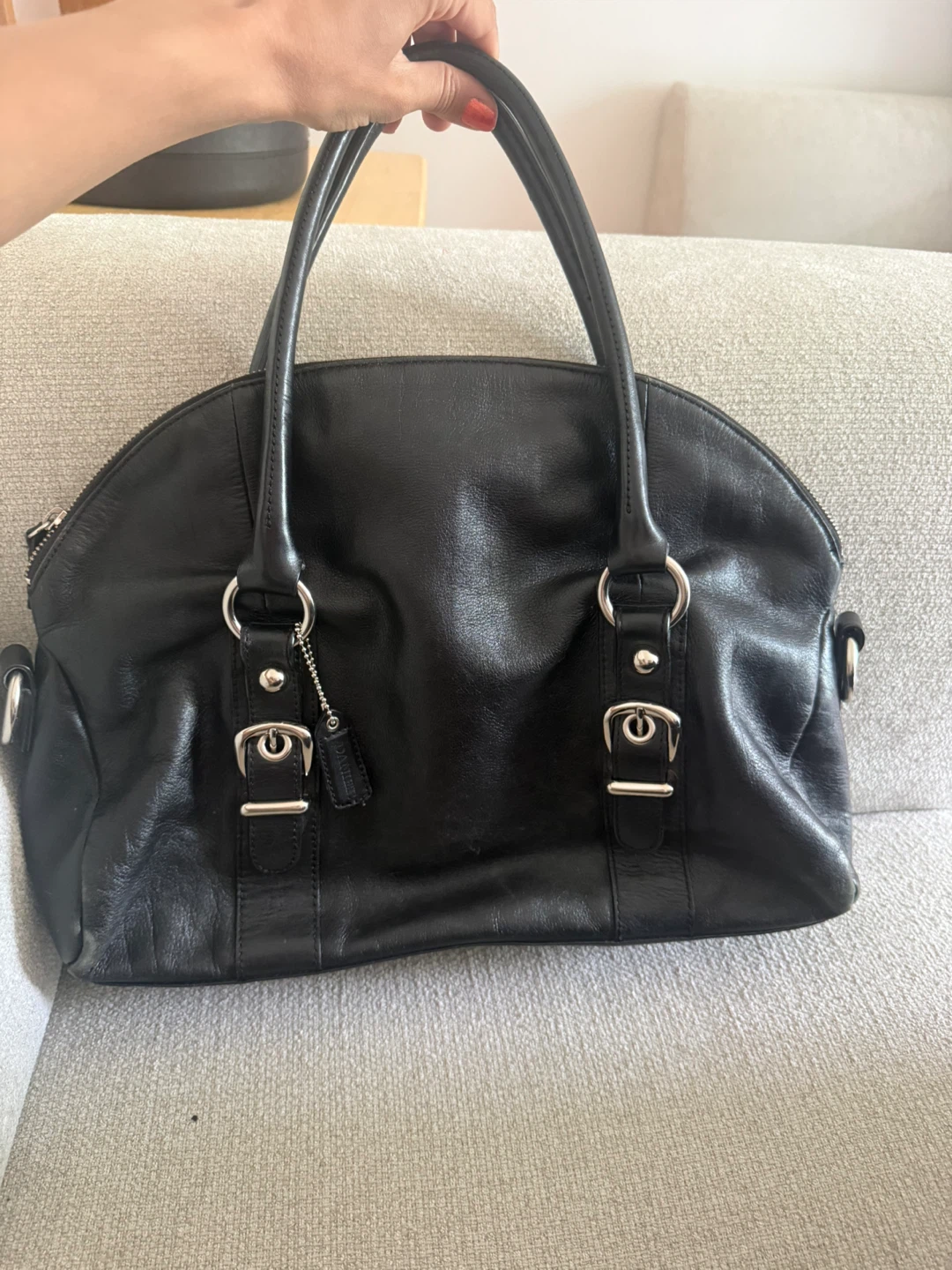 Danier Leather Handbag