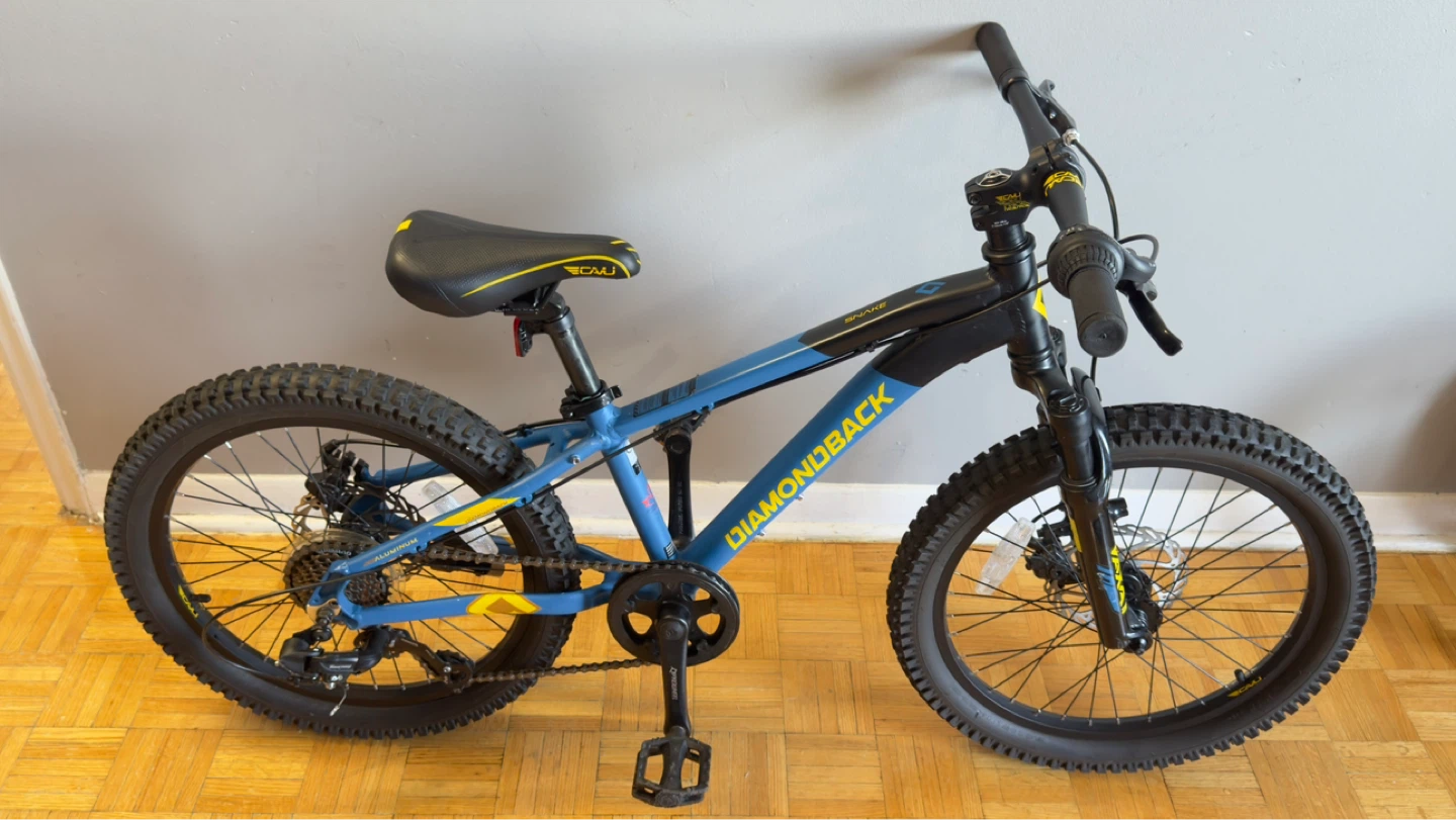 Diamondback "Snake" 20 Mountain Kids Bike - photo 5