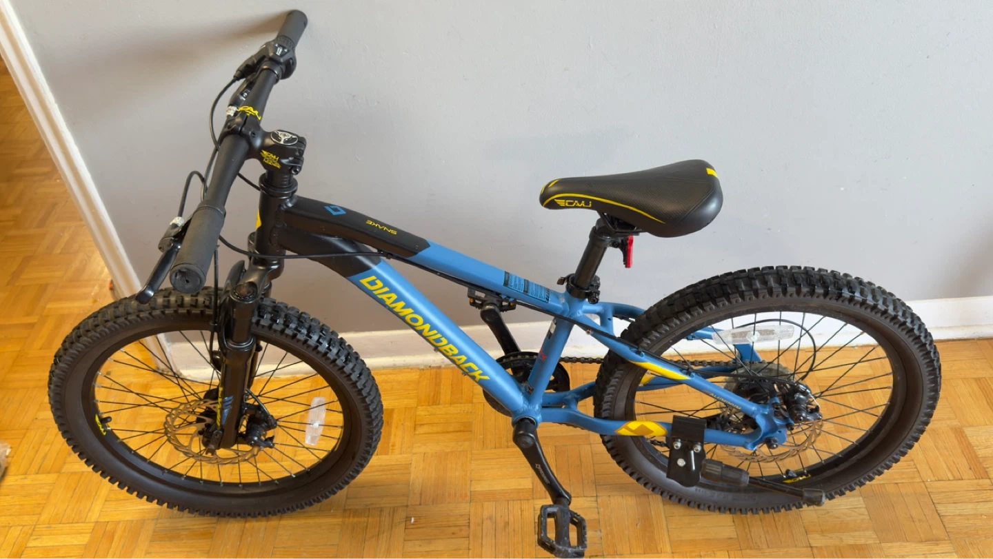 Diamondback "Snake" 20 Mountain Kids Bike