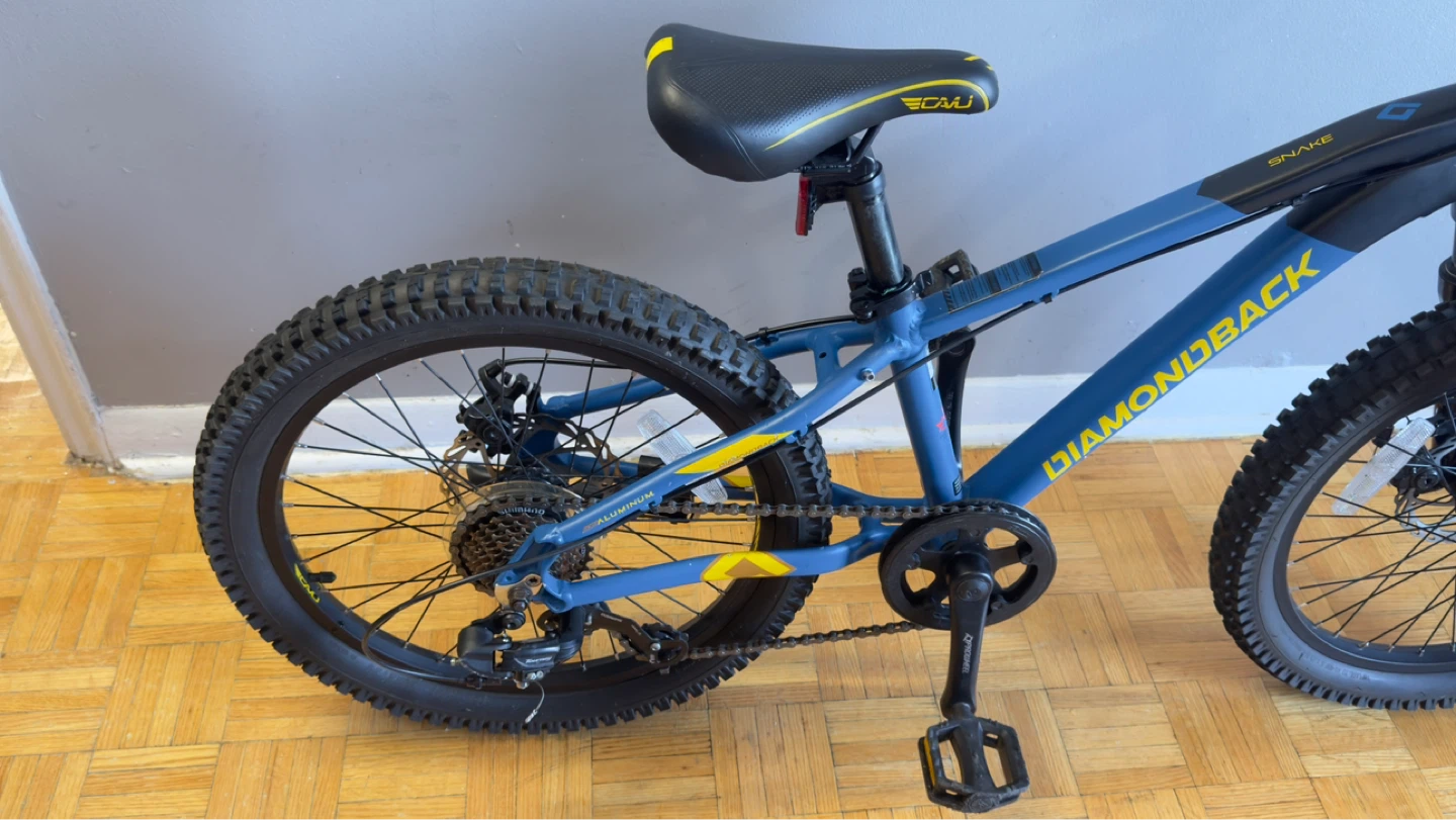 Diamondback "Snake" 20 Mountain Kids Bike - photo 4