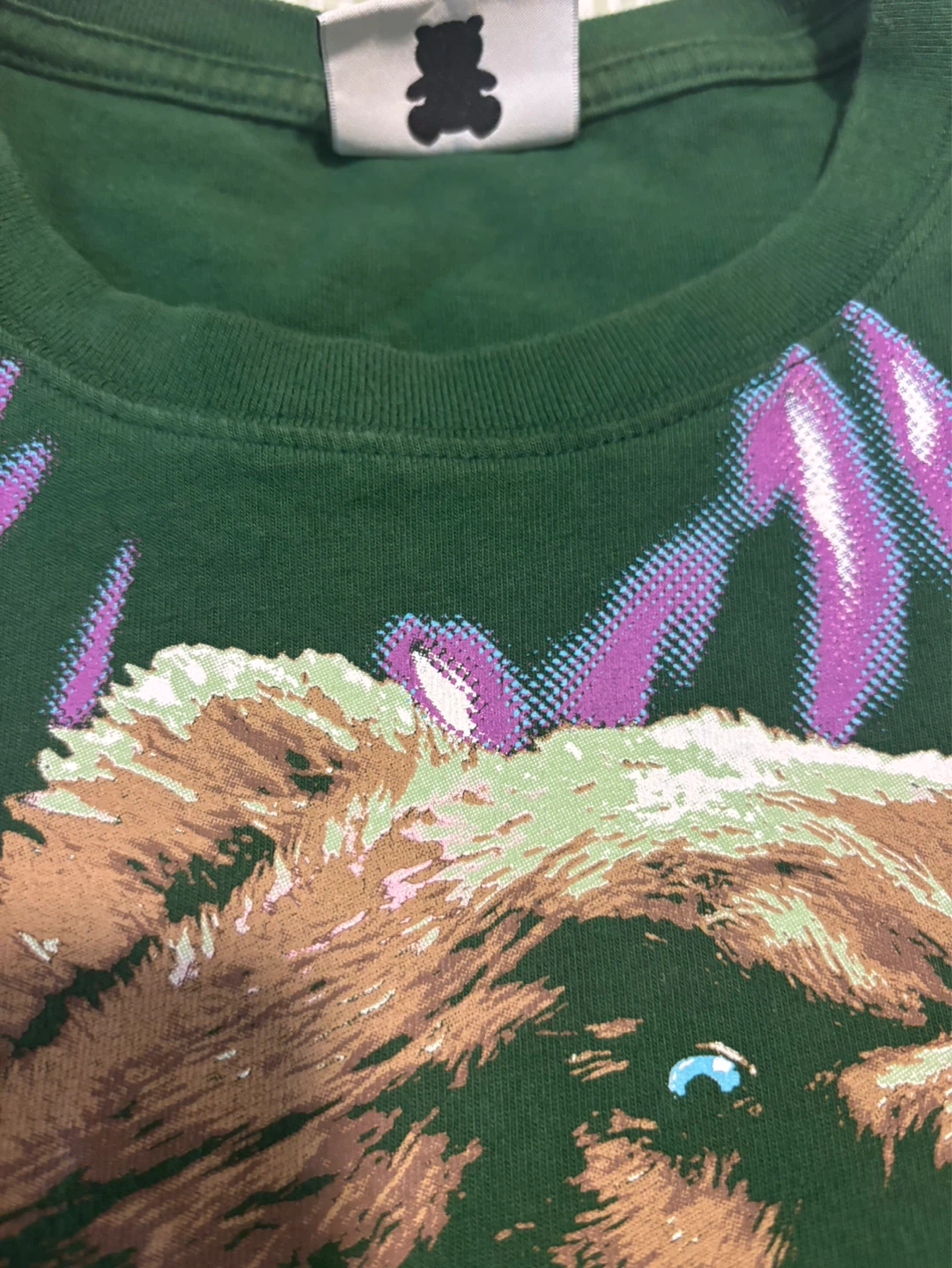 Teddy Fresh Bear Graphic T-Shirt XS Green - photo 4