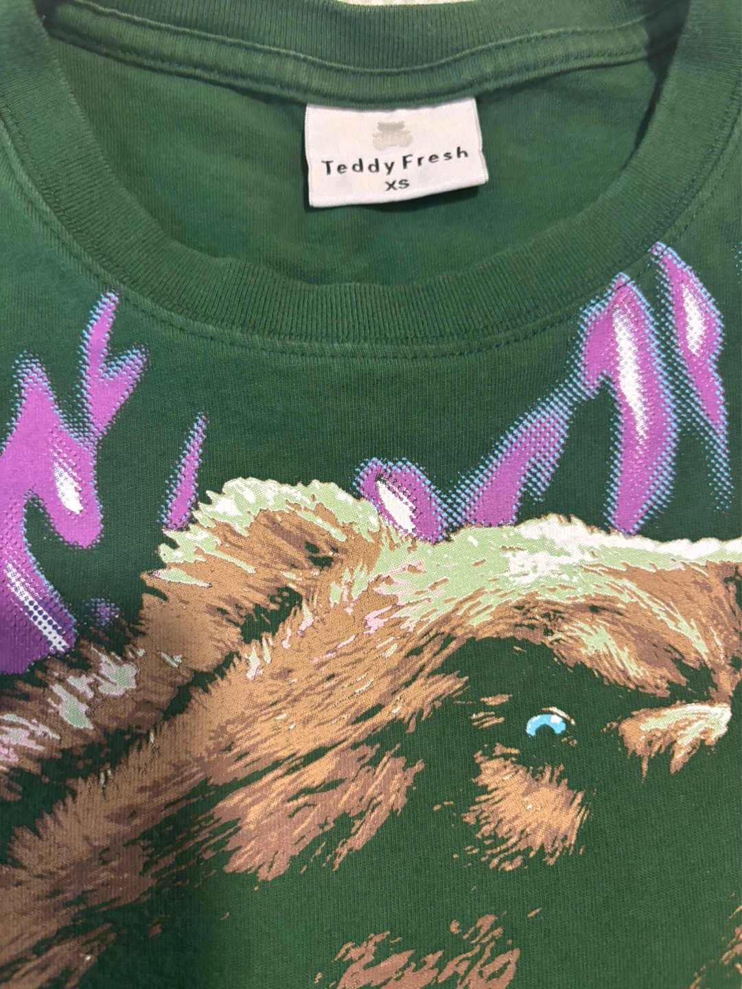 Teddy Fresh Bear Graphic T-Shirt XS Green - photo 5
