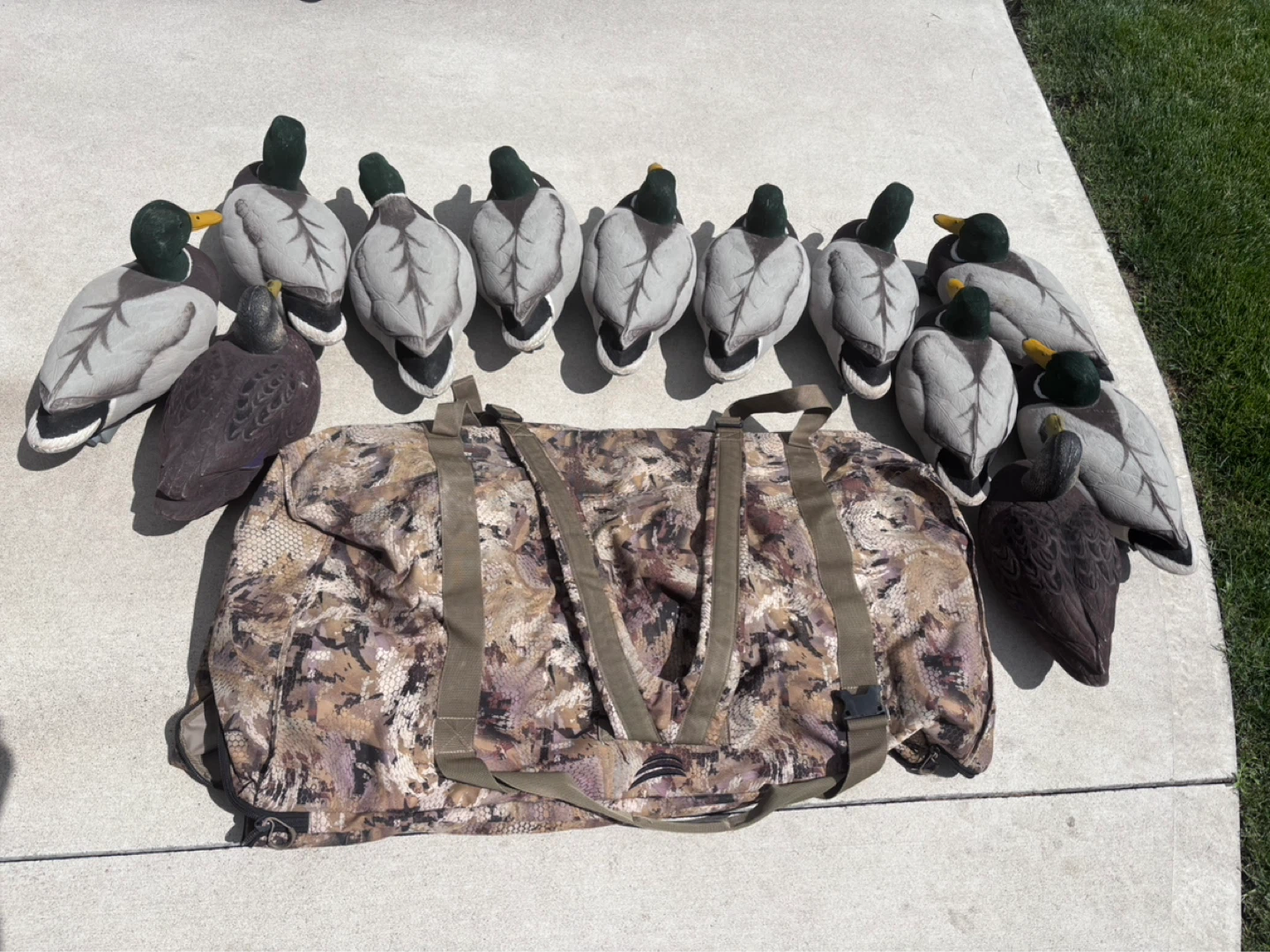 Mallard Duck Decoys with Carry Bag