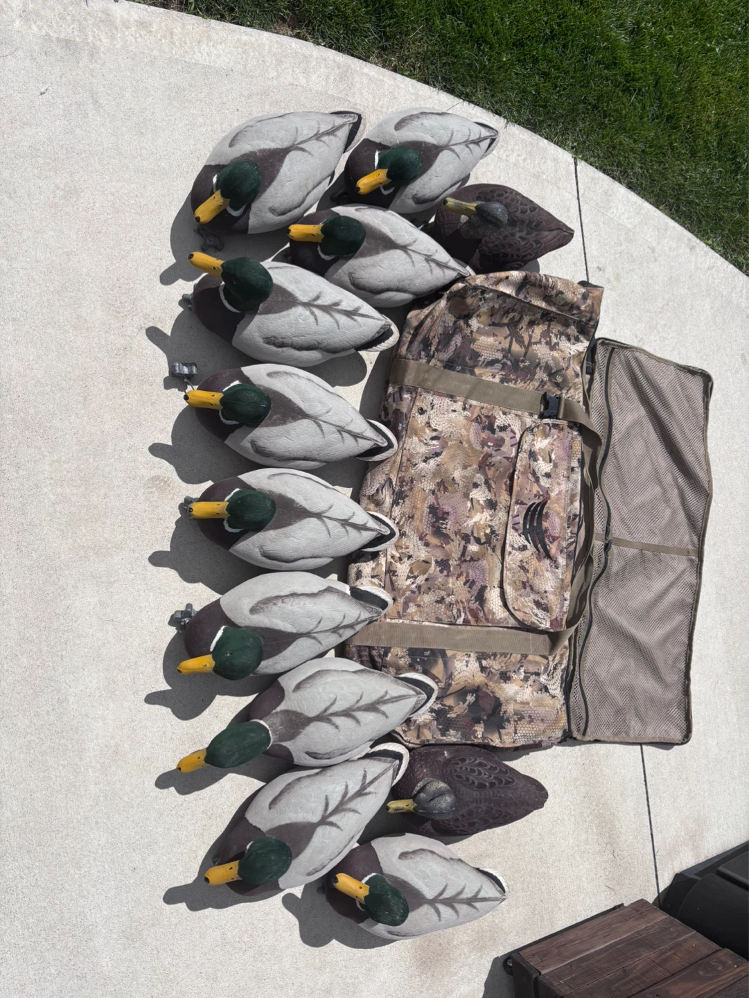 Mallard Duck Decoys with Carry Bag - photo 2