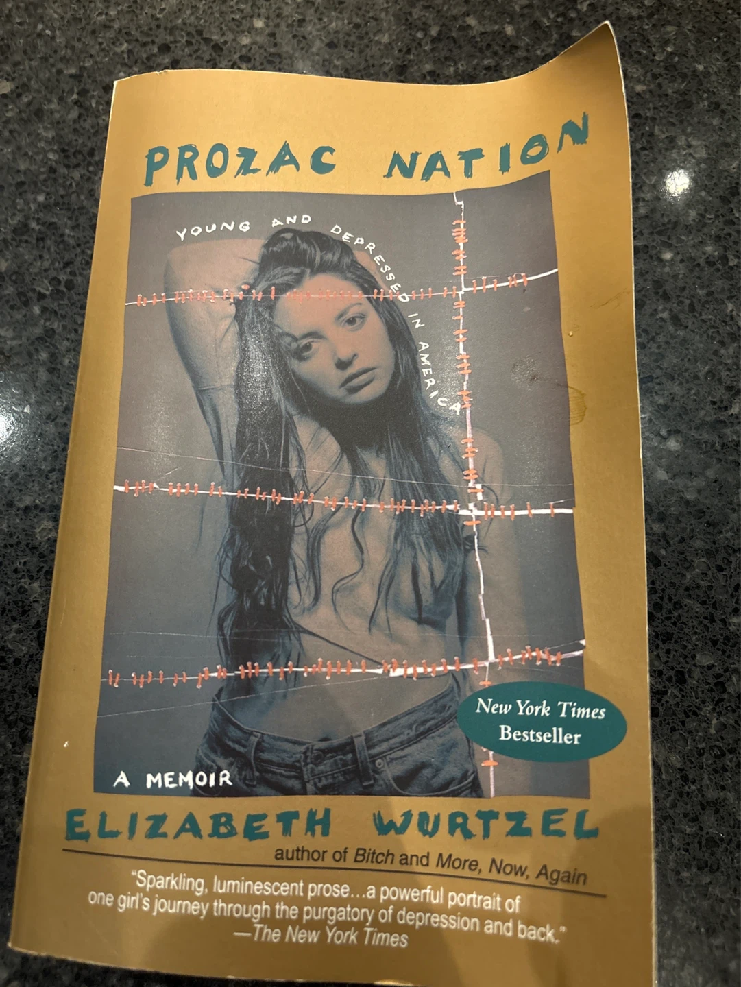 Prozac Nation: Young and Depressed in America