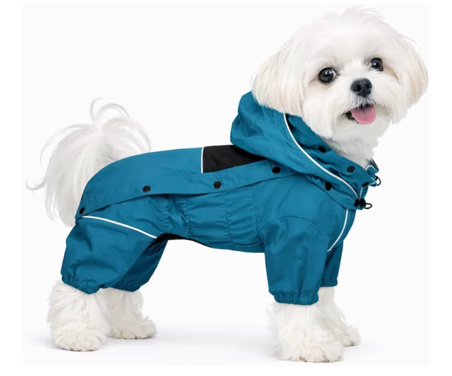 Teal Dog Raincoat with Hood