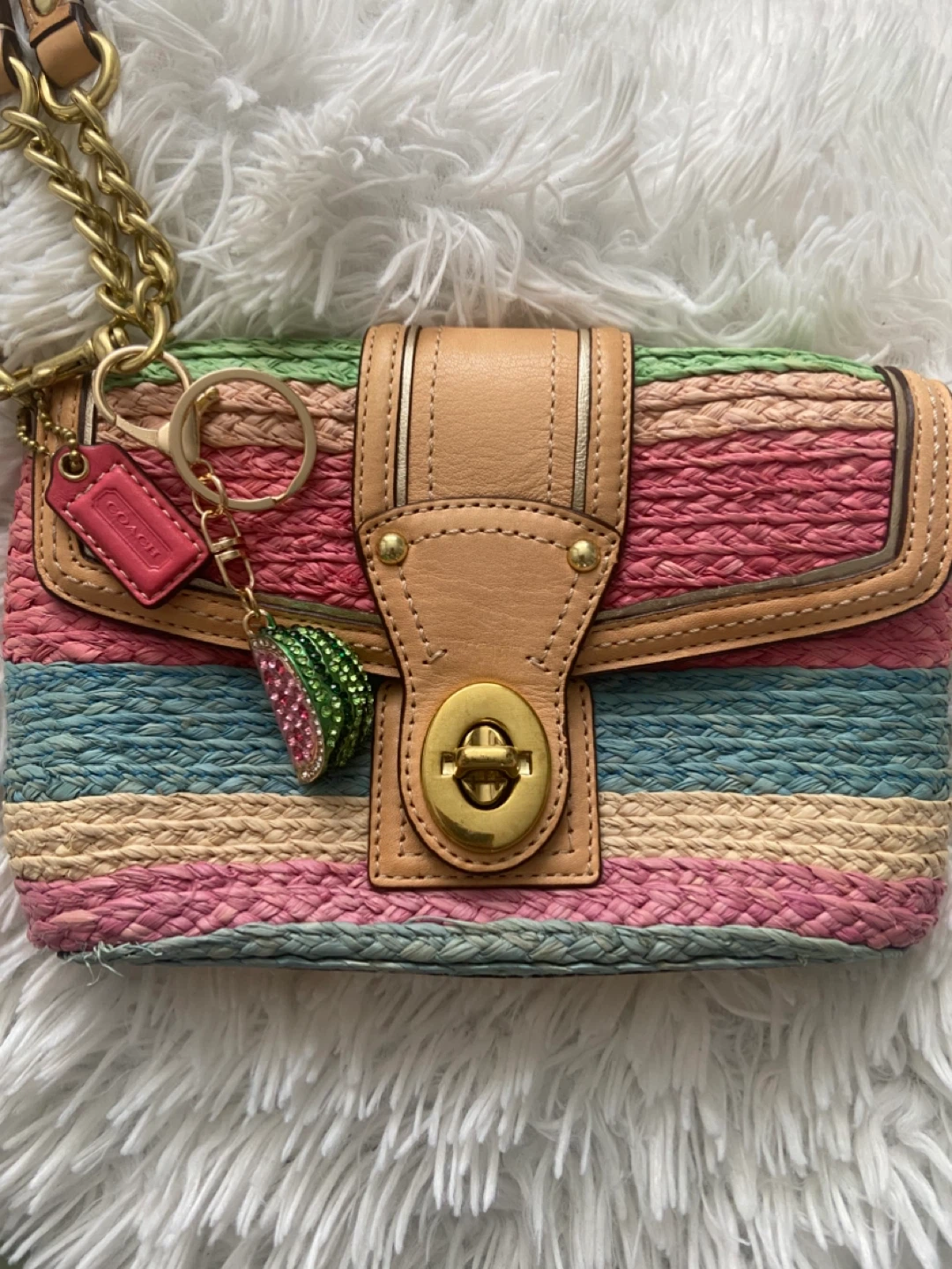 Y2K coach Hampton straw wristlet