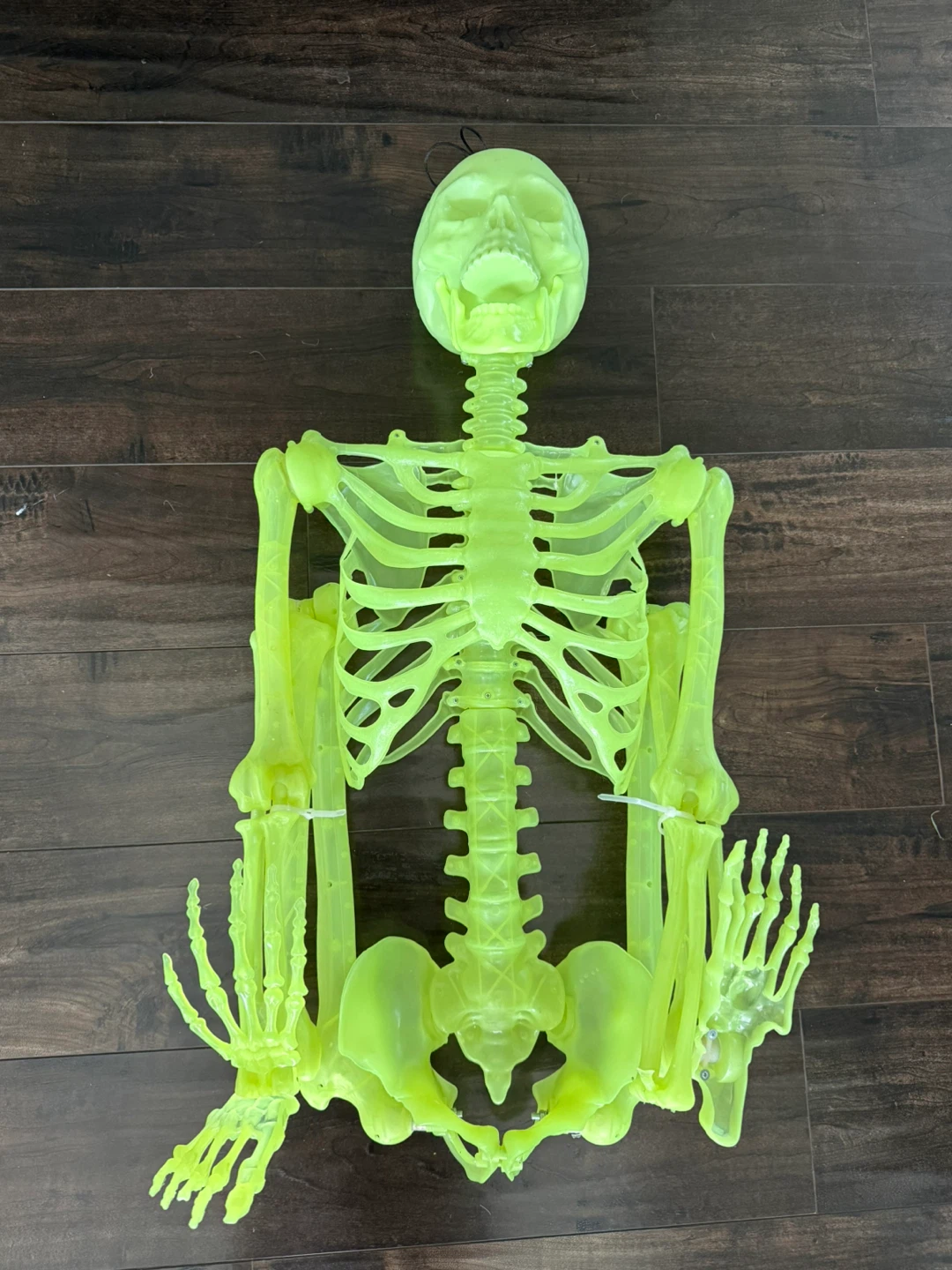 2x Skeleton 5ft  glow in the dark Halloween Decoration - photo 2