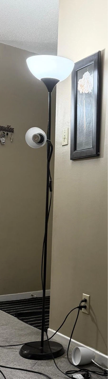 Black Floor Lamp with Reading Light