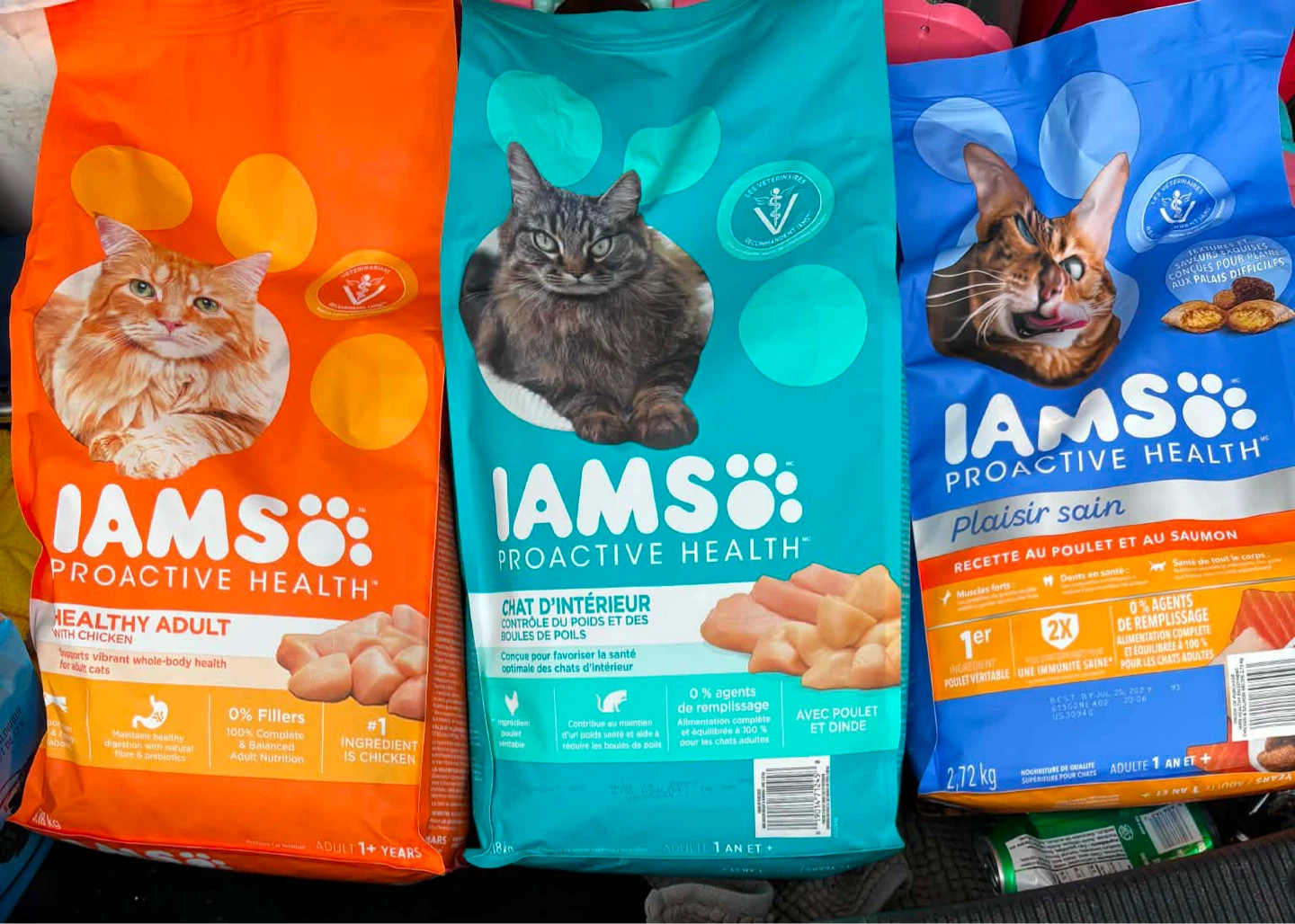 Cat food IAMS