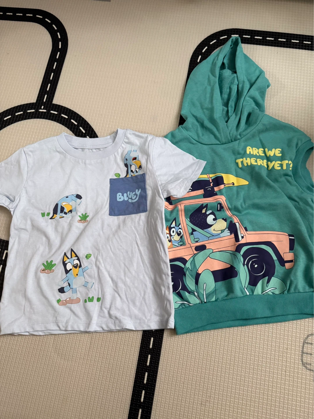 Bluey Kids T-Shirt and Hoodie Set