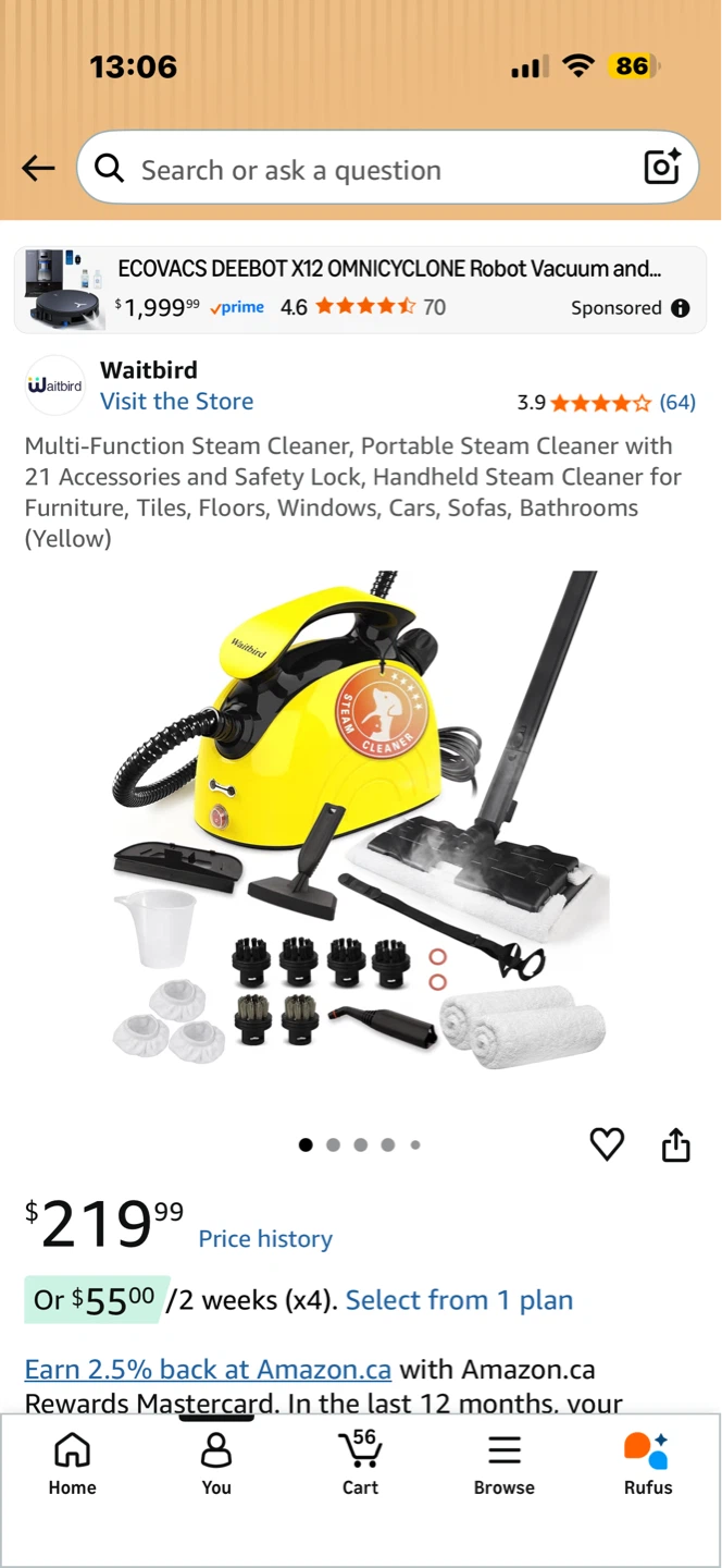 Waitbird Multi-Function Portable Steam Cleaner (Yellow)