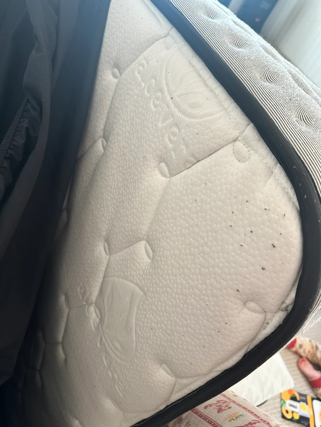 Single Mattress - photo 5