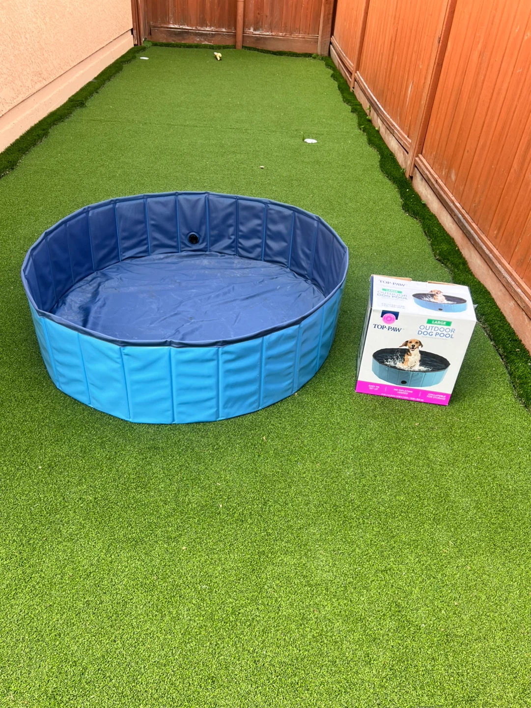 Top Paw Large Outdoor Dog Pool