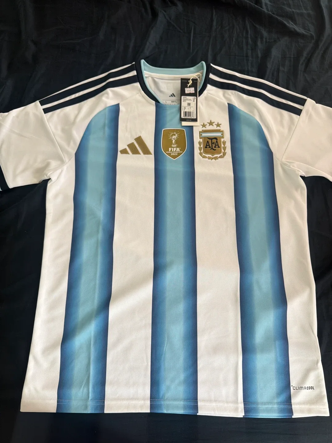 Authentic Adidas Argentina AFA Soccer Jersey - White/Blue