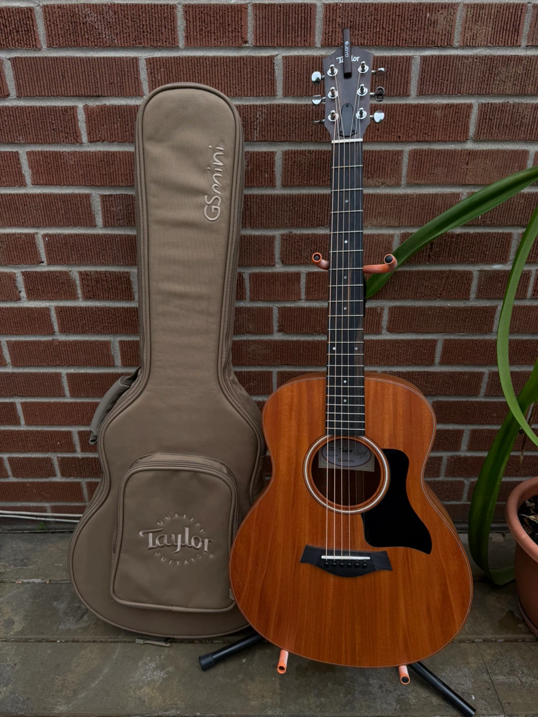 Taylor GS Mini Mahogany Acoustic Guitar