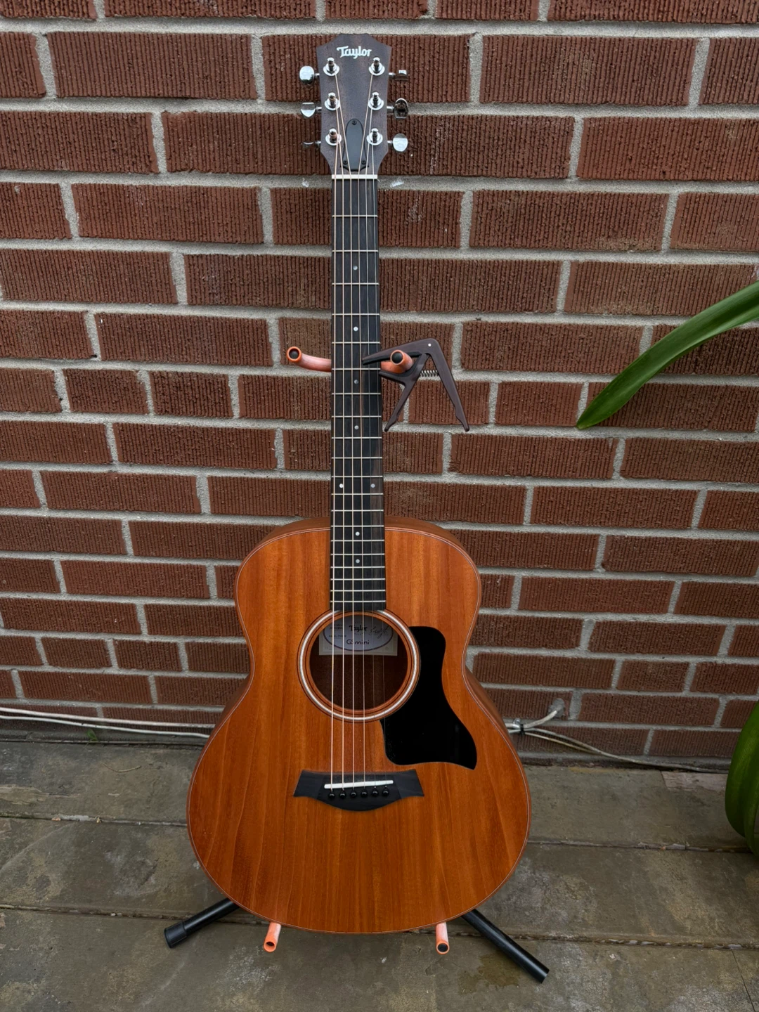Taylor GS Mini Mahogany Acoustic Guitar - photo 2