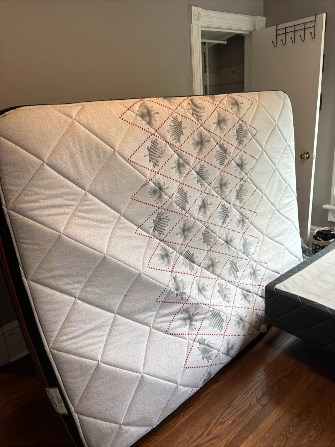 FREE Box Spring and Mattress (queen)