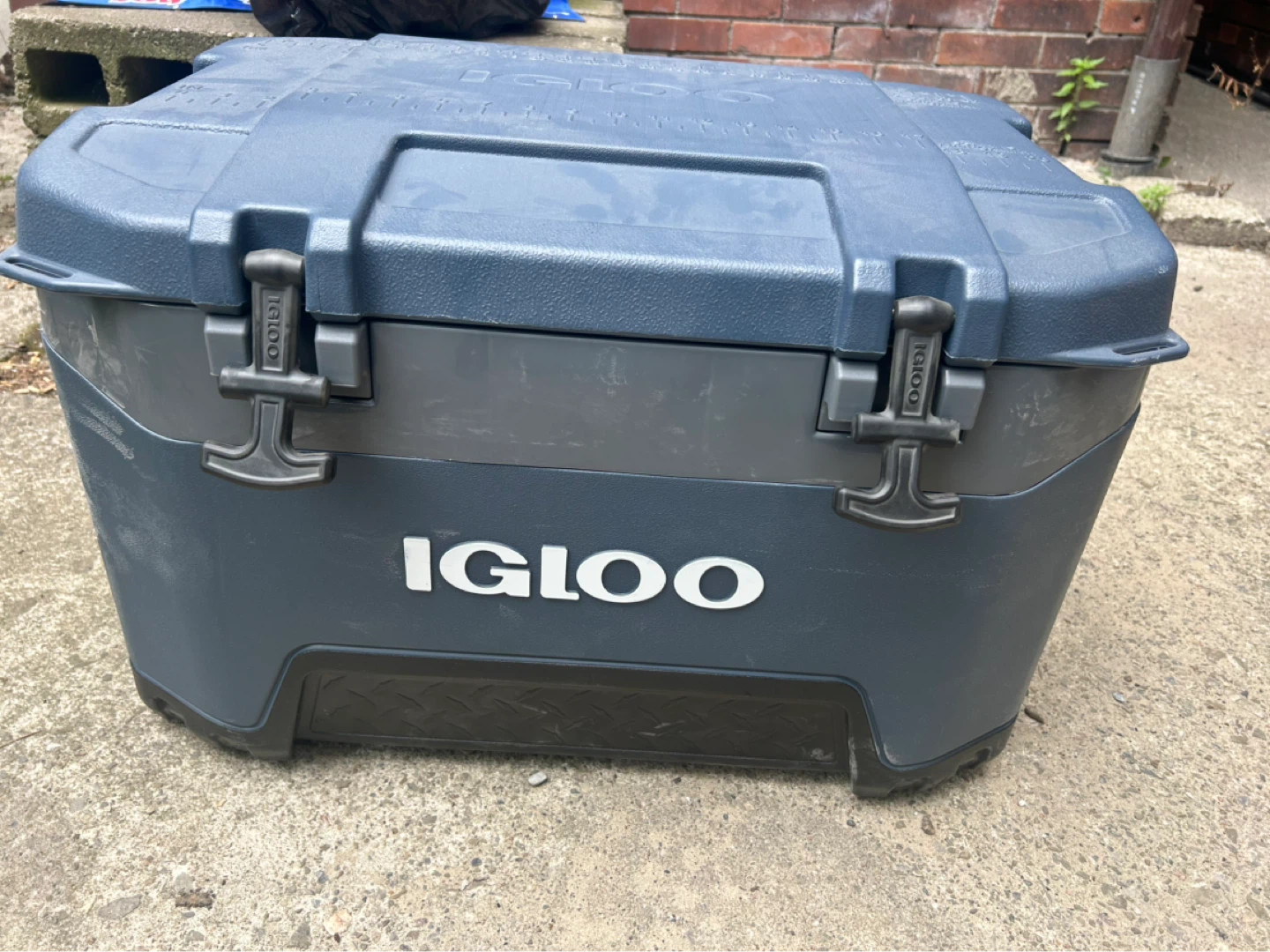 Igloo Cooler