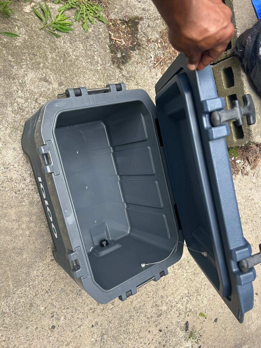 Igloo Cooler - photo 2