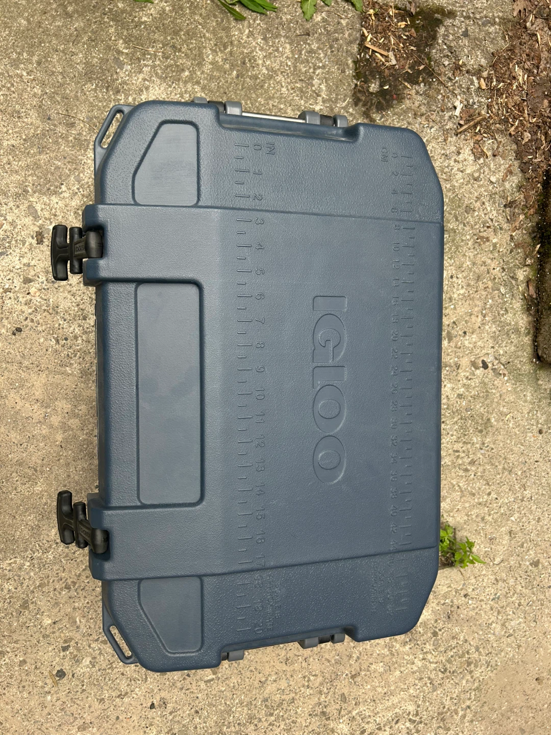 Igloo Cooler - photo 3