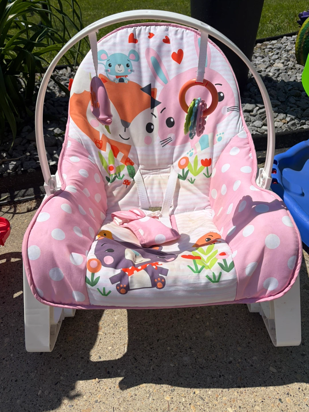 Fisher-Price Baby Bouncer Seat