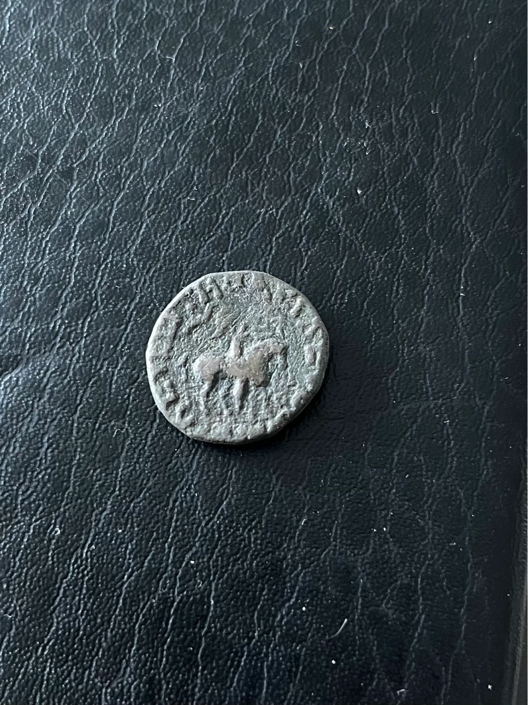 Authentic Vintage Coin with Horse and Bust