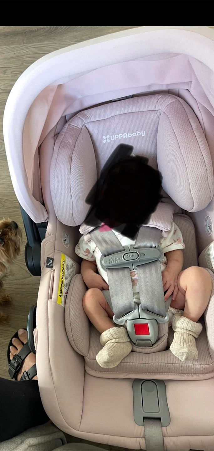 UPPAbaby MESA Infant Car Seat with Base - photo 2